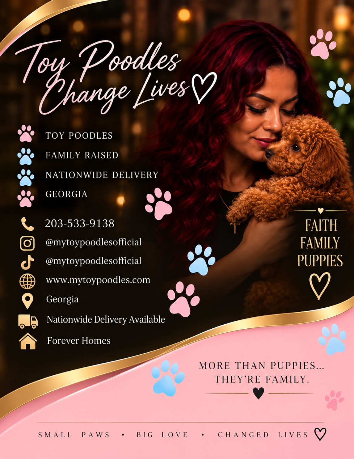 MyToyPoodles family and puppy